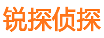 迎江市私家侦探